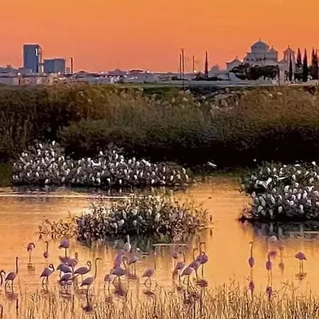 Stefaris 'sioukris Court' * Larnaca